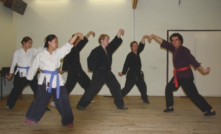 Kung Fu Class